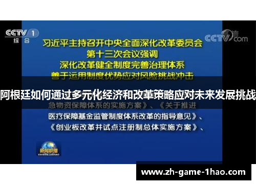 阿根廷如何通过多元化经济和改革策略应对未来发展挑战